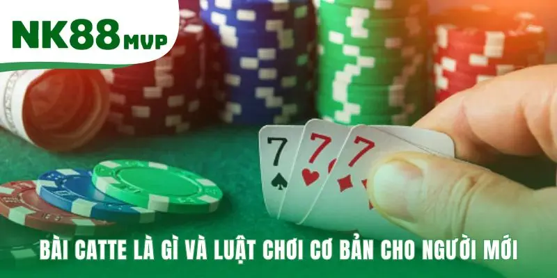 Catte | Hướng Dẫn Luật Chơi 6 Vòng Đấu Chuẩn Tại NK88 2 Luật chơi Catte cơ bản bắt đầu với 6 lá bài được chia