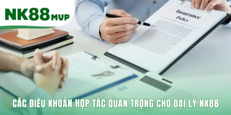 Điều khoản Đại lý NK88 xây dựng môi trường kinh doanh công bằng