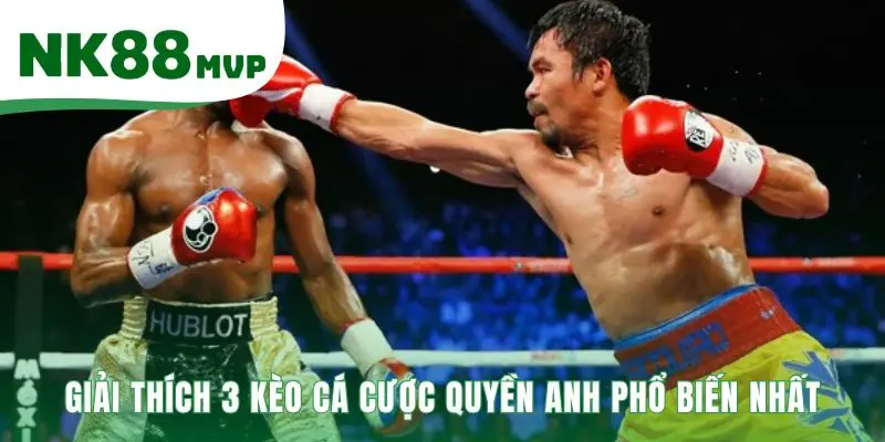 Cá Cược Boxing | Hướng Dẫn 3 Kèo Cược Phổ Biến tại NK88 2 Kèo cá cược boxing hé lộ nhiều kịch bản đặt cược thông minh