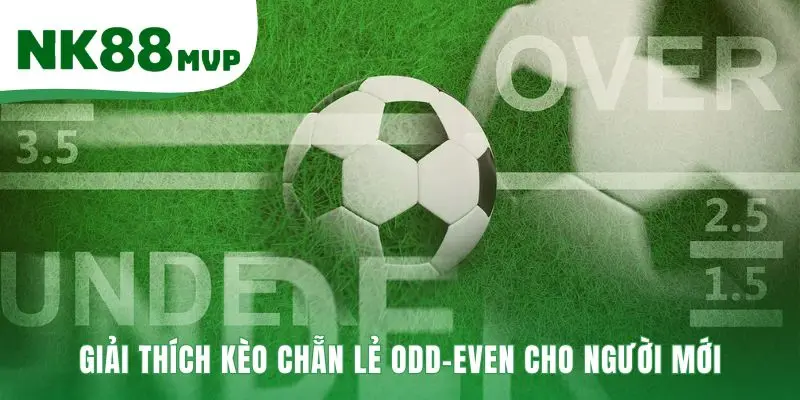 Kèo Chẵn Lẻ - Giải Thích Cược 50/50 Cho Người Mới 2 Hiểu rõ luật chơi và ký hiệu cược Odd-Even cơ bản