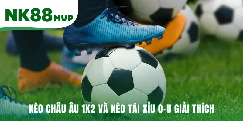 Các Dạng Kèo Nhà Cái | Giải Thích 3 Loại Cược Phổ Biến NK88 3 Các dạng kèo nhà cái Châu Âu và Tài Xỉu dễ hiểu cho người mới